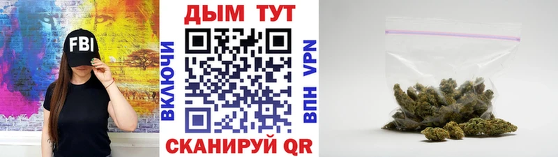 где можно купить Гороховец Конопля MAZAR